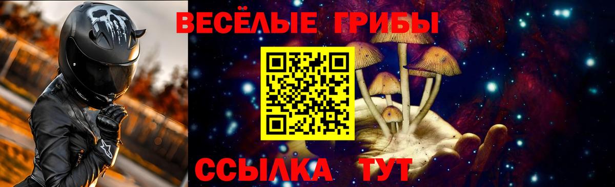 Псилоцибиновые грибы Psilocybe Дмитров